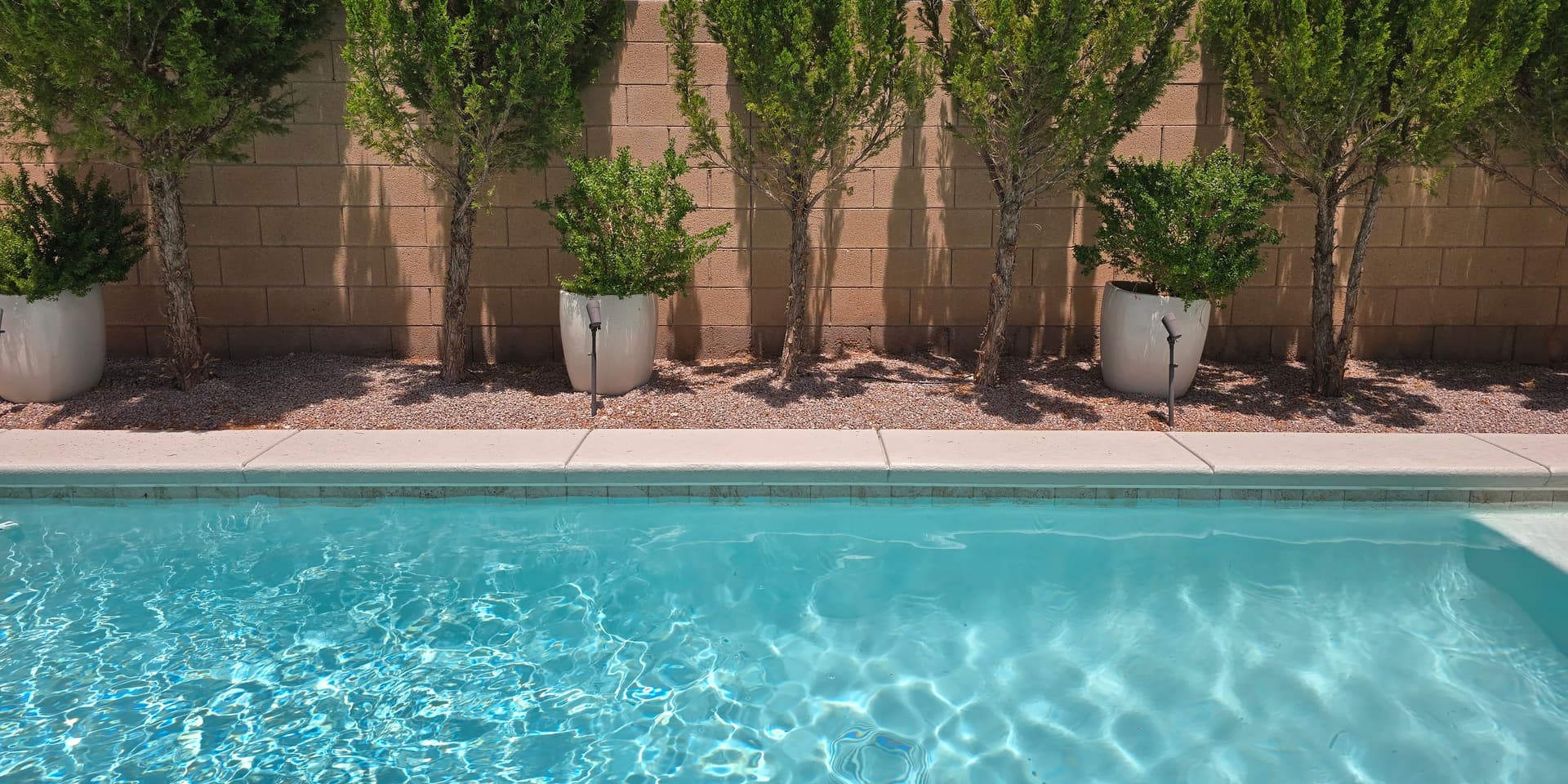 A clean residential pool framed by cypress trees in an established Spring Valley, Las Vegas backyard, cared for by AquaVision Pool Care